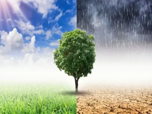 Khí hậu châu Mỹ thay đổi qua từng vùng lãnh thổ rộng lớn