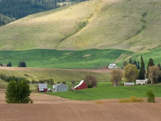 Phát triển nông thôn châu Mỹ và những chính sách then chốt