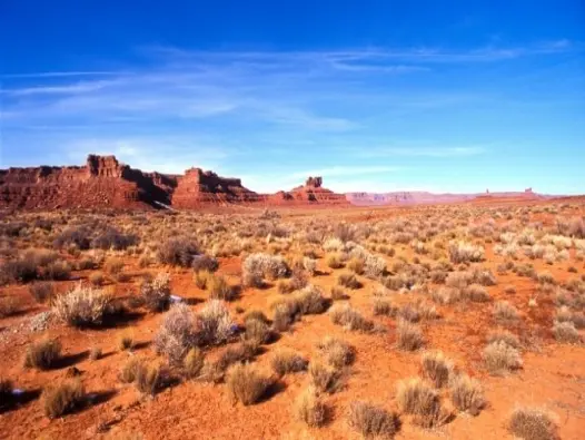 Sa mạc châu Mỹ hình thành như thế nào qua hàng triệu năm