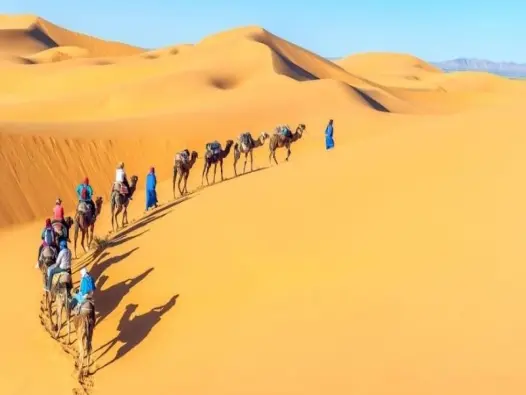 Khám phá Sa mạc Kalahari thiên đường đỏ giữa lòng Châu Phi