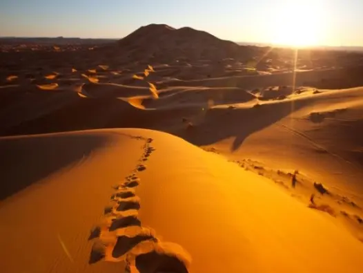 Sahara Desert vẻ đẹp hoang sơ giữa lòng châu Phi rộng lớn