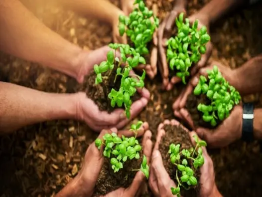 Khám phá tài nguyên thiên nhiên Châu Âu cùng sự đa dạng