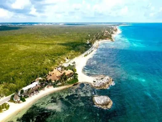 Vịnh Mexico là nơi bảo tồn nhiều loài sinh vật biển quý