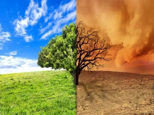 Khí hậu ôn đới ảnh hưởng thế nào đến đời sống con người