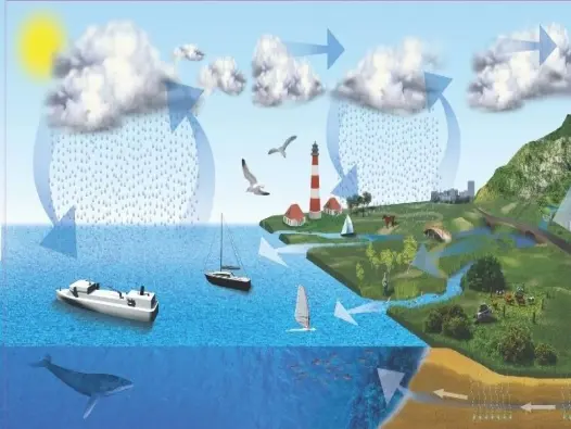 Vòng tuần hoàn nước và tầm quan trọng đối với con người