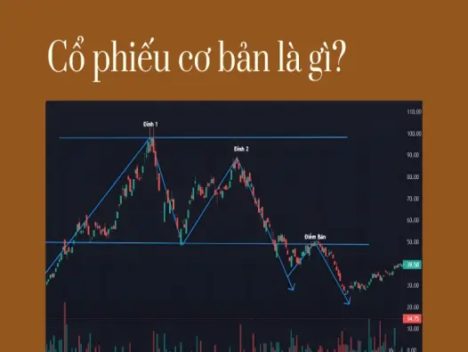 Bắt đầu hành trình đầu tư- Hướng dẫn cơ bản về cổ phiếu