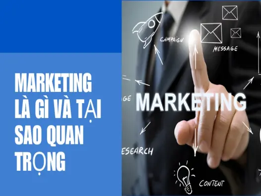 Chiến lược marketing hiệu quả toàn diện cho doanh nghiệp