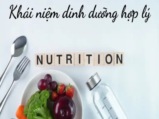 Khái niệm dinh dưỡng hợp lý quyết định tuổi thọ thế nào