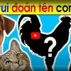 300+ Câu Đố Vui Cho Trẻ Mầm Non: Khơi Dậy Tư Duy Sáng Tạo
