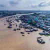 Đồng Bằng Sông Cửu Long Tiếng Anh Là Gì? Khám Phá Ngay