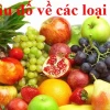 Giải mã 30+ câu đố về hoa quả hấp dẫn cho bé yêu