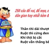 Khám phá kho tàng câu đố dân gian Việt Nam: Vui học và giải trí