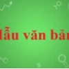 Những câu đố mẹo khó nhất: Thử thách trí tuệ đỉnh cao 2026