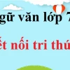 Soạn bài Cuộc chạm trán trên đại dương Ngữ văn lớp 7 Kết nối tri thức