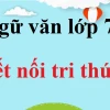 Soạn bài Cuộc chạm trán trên đại dương: Phân tích chi tiết và định hướng học tập