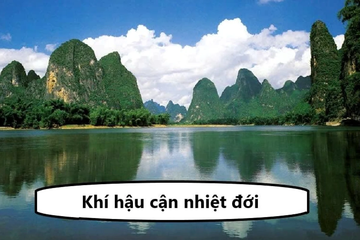 Khí hậu cận nhiệt đới là gì, đặc điểm và phân bố các vùng trên thế giới