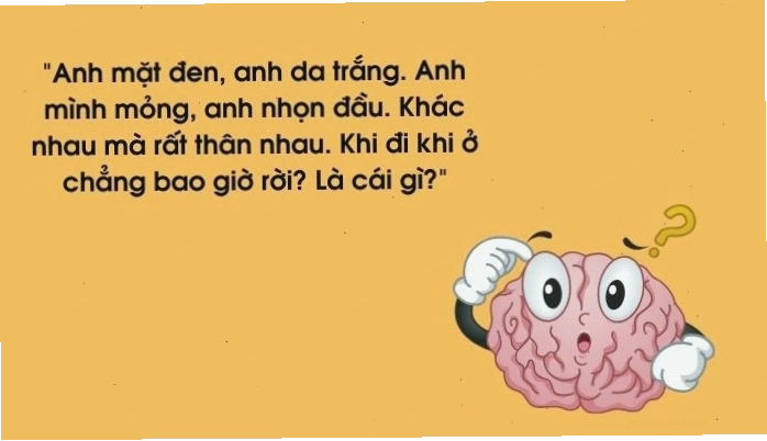 200 câu đố vui trí tuệ chất lượng