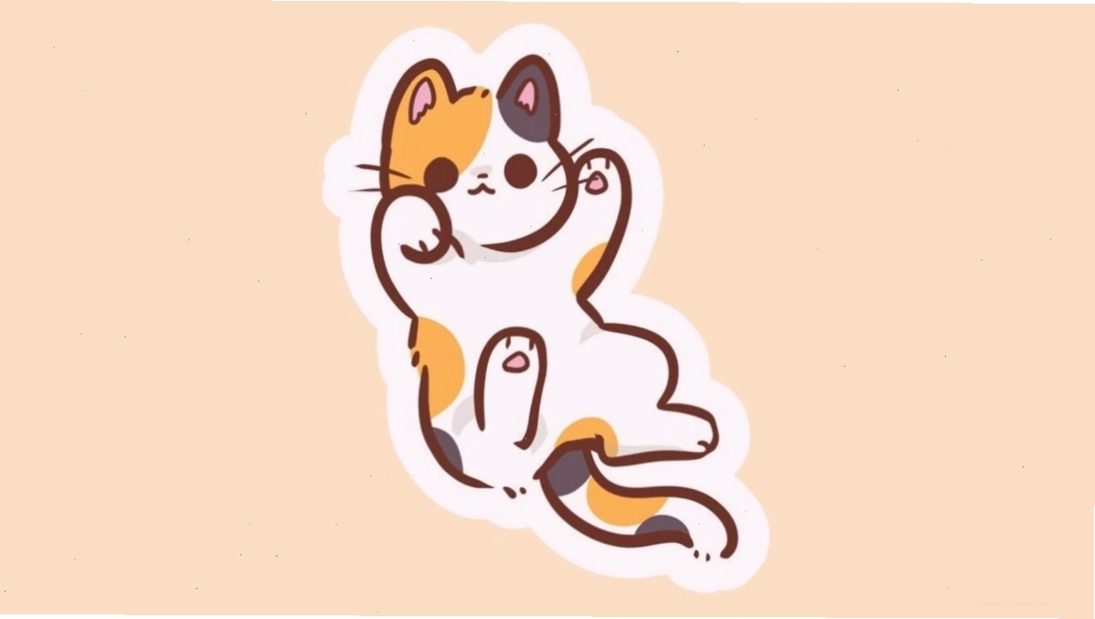 Ảnh mèo chibi đang nằm cuộn tròn đáng yêu