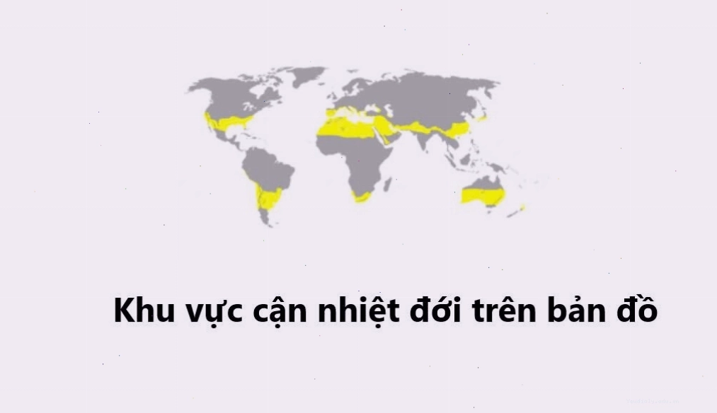 Bản đồ phân bố vùng khí hậu cận nhiệt đới