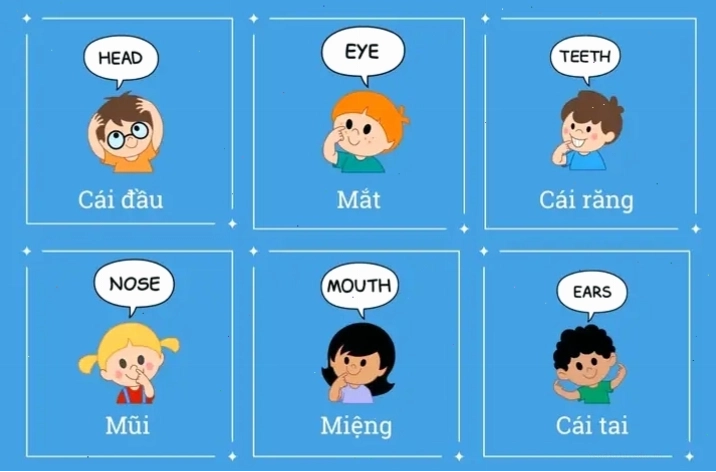 Bản đồ Việt Nam với các vùng miền