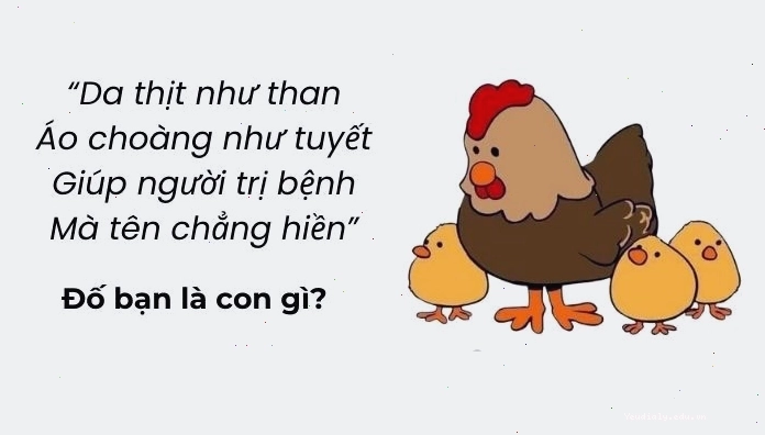 Các câu đố vui trí tuệ hack não