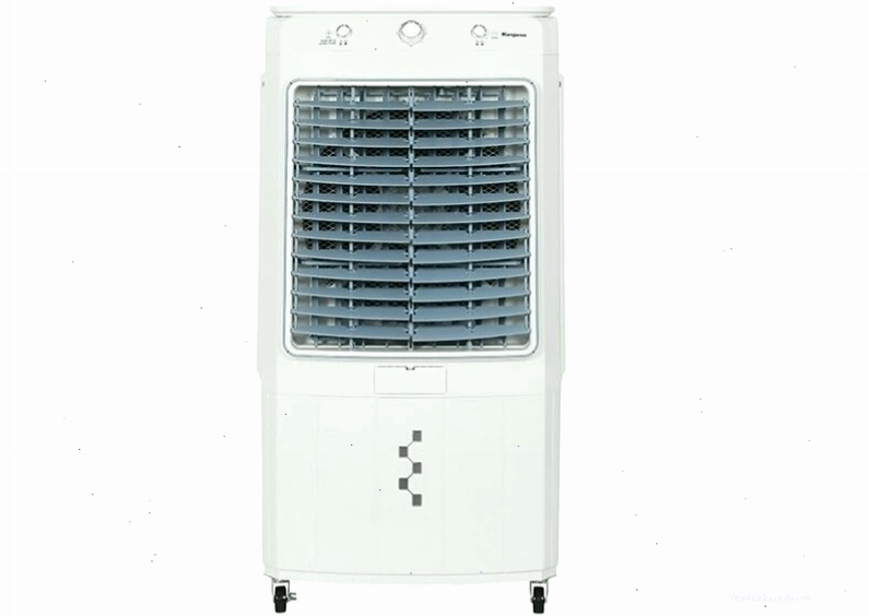 Các sinh vật biển sâu với hình dáng kỳ lạ