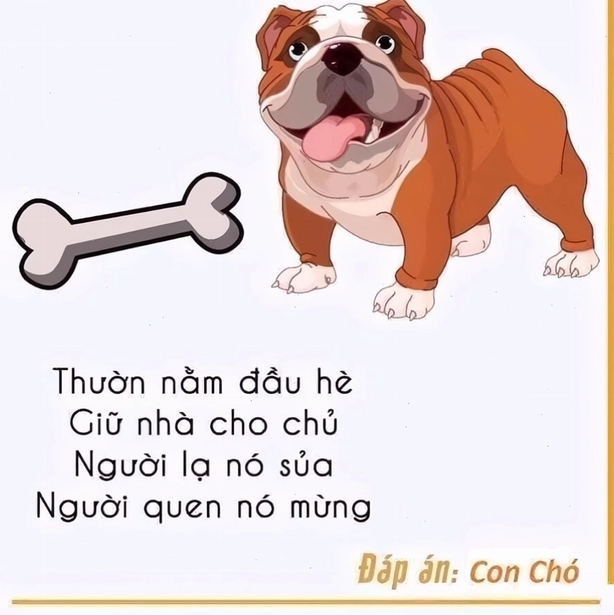 Cách chơi trò chơi đố vui bằng hình ảnh hiệu quả
