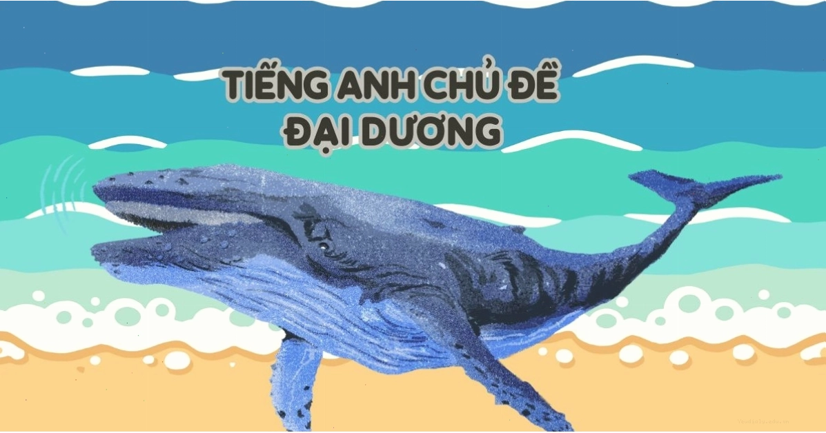 Cảnh biển tuyệt đẹp tại Ấn Độ Dương