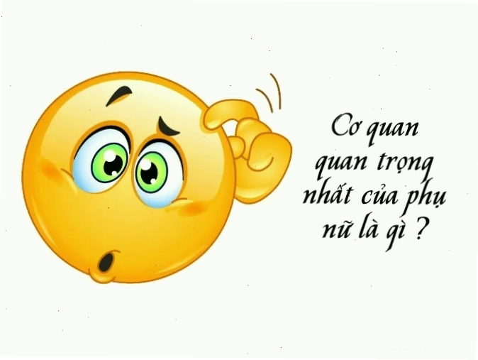 Câu đố dân gian về con tàu