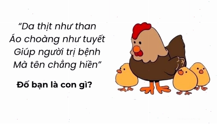 Câu đố mẹo dân gian siêu hack não
