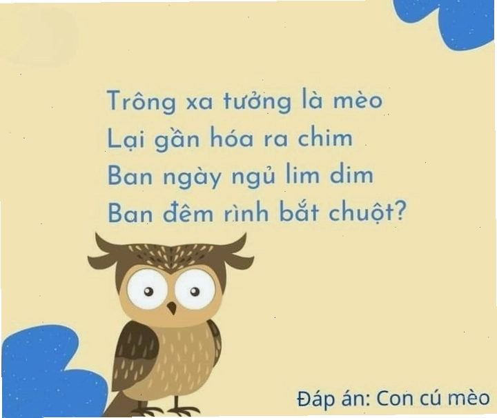 Câu đố về con chim cú mèo hack não