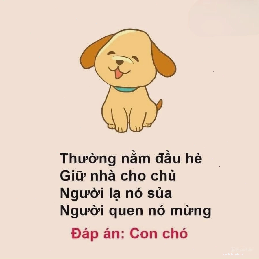 Câu đố về con chó hack não