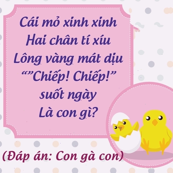 Câu đố về con gà con hack não