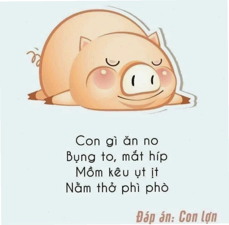 Câu đố về con heo hack não