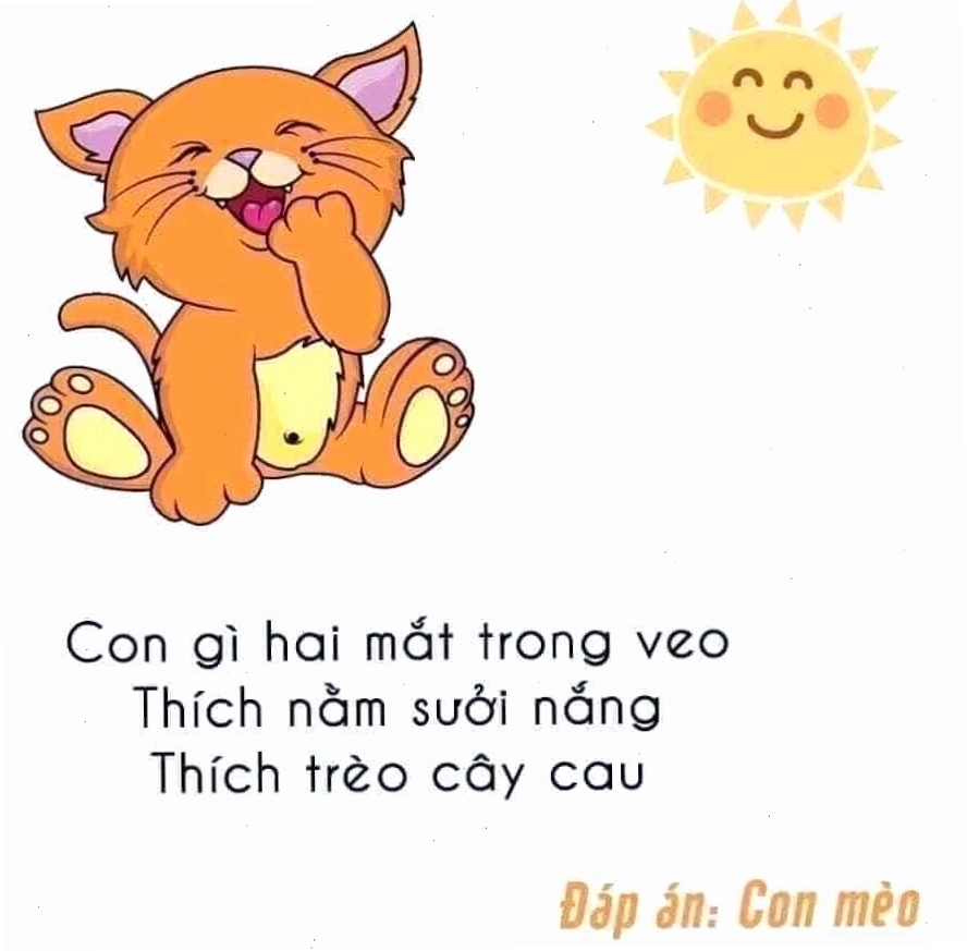 Câu đố về con mèo hack não