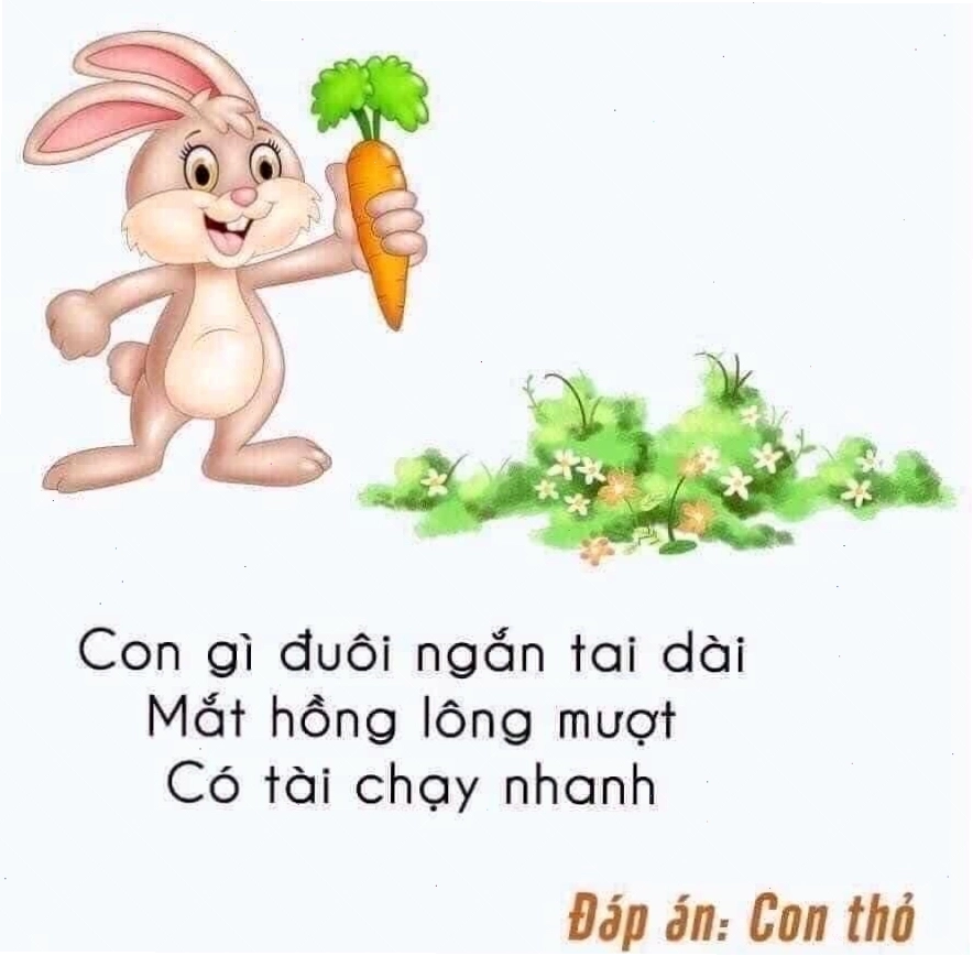Câu đố về con thỏ đòi hỏi suy luận về đặc điểm sinh học