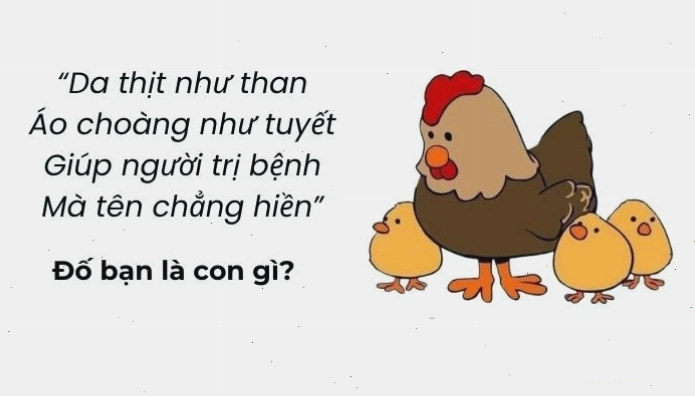 Câu hỏi mẹo đố vui hack não giúp rèn luyện tư duy