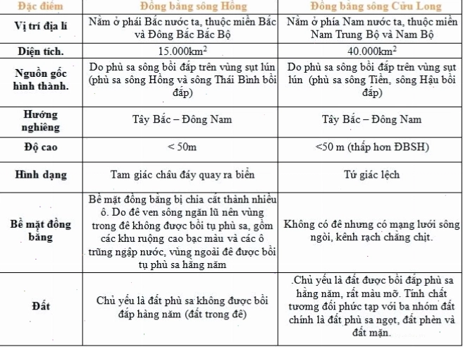 Cây chè xanh mướt trên đồi bán bình nguyên