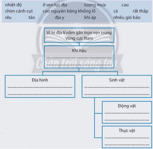 Đàn chim cánh cụt trên bờ biển châu Nam Cực