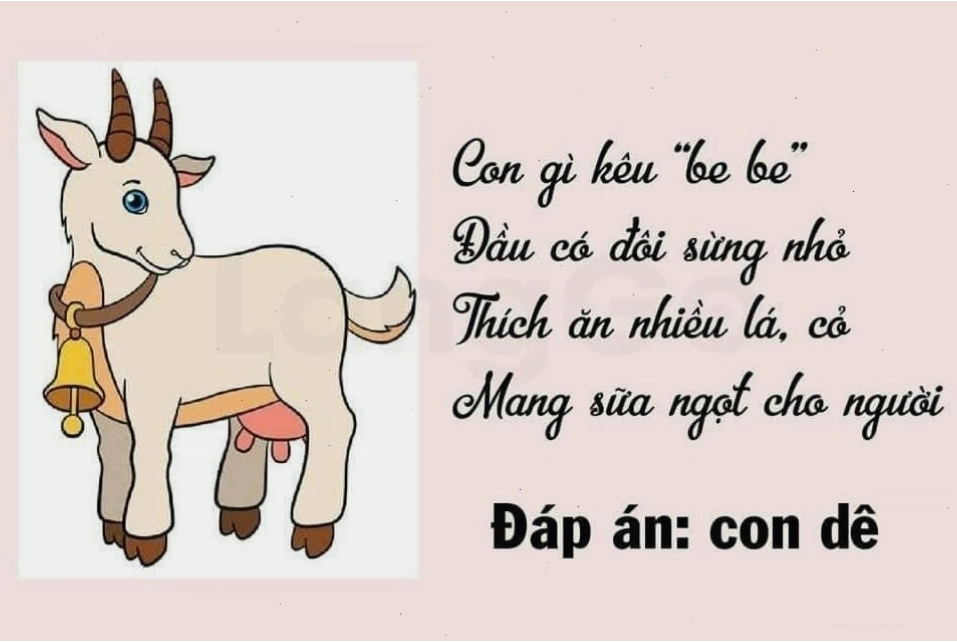 Đàn dê đang ăn cỏ