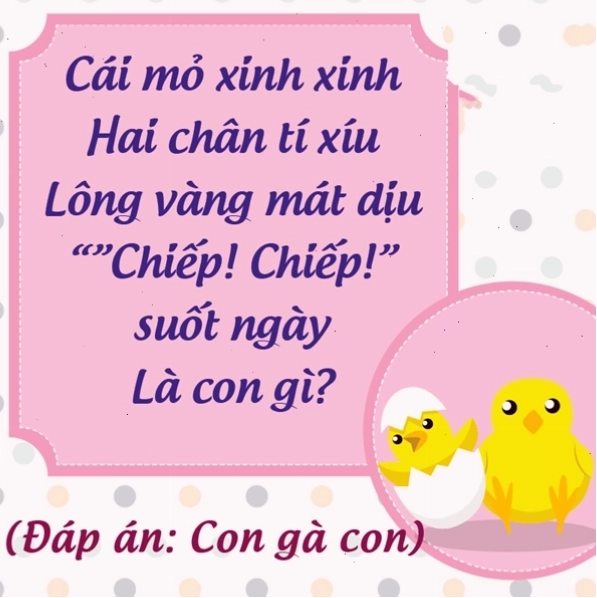 Đàn gà con đáng yêu