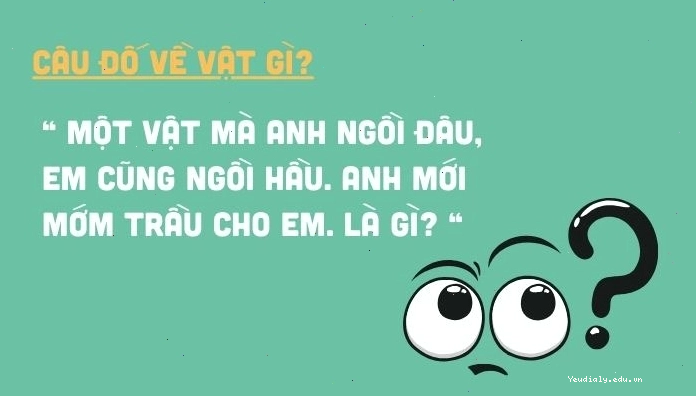 Danh sách những câu hỏi câu đố vui, đố mẹo hay và hài hước