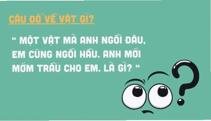 Danh sách những câu hỏi câu đố vui, đố mẹo hay và hài hước