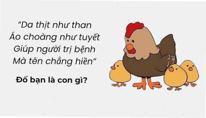 Đồ họa minh họa các câu hỏi mẹo đố vui hack não