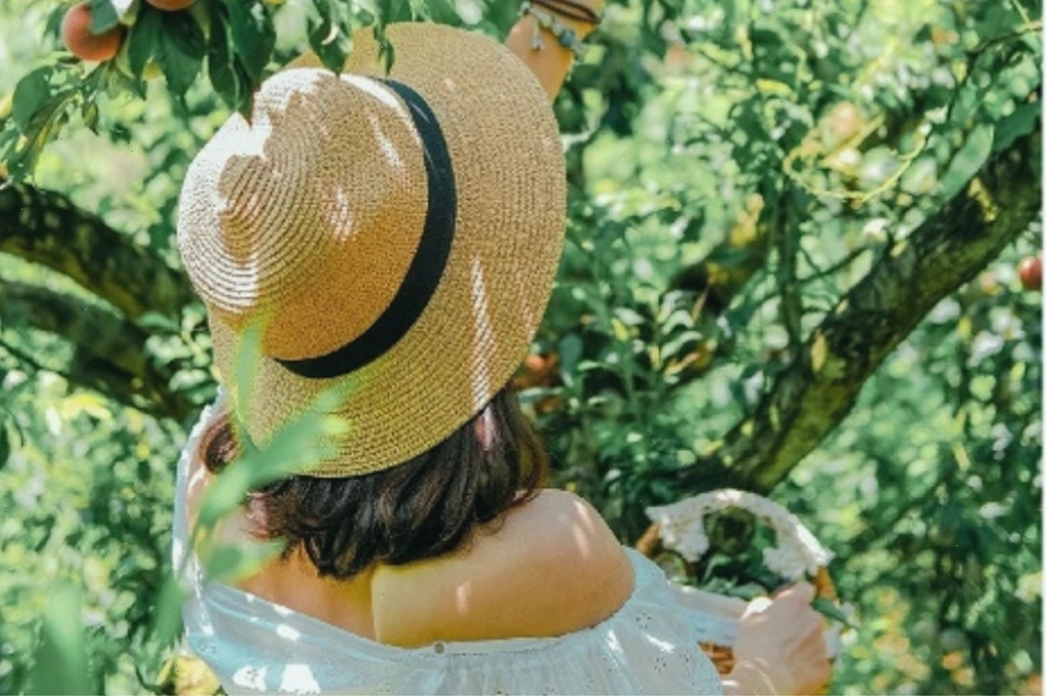 Du khách chụp ảnh tại Vườn Châu Âu Đà Lạt