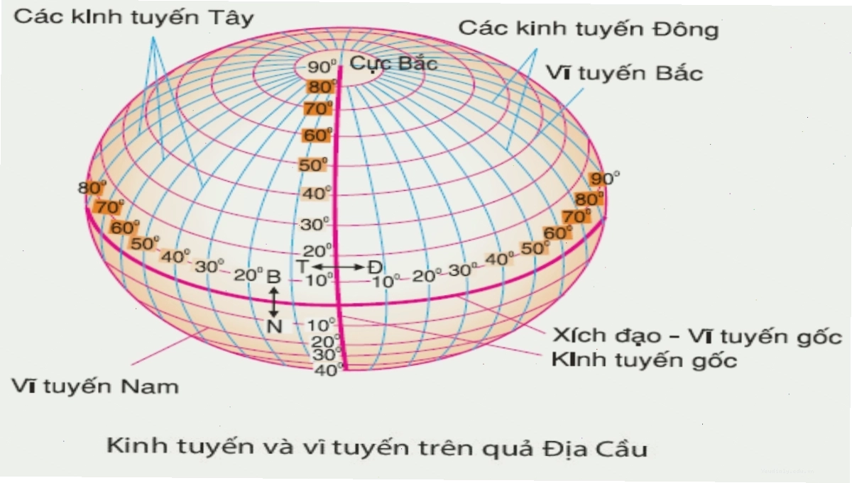 Hệ thống kinh vĩ tuyến bao phủ toàn bộ bề mặt Trái Đất