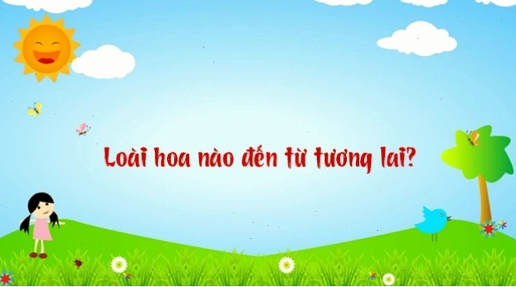 Hình ảnh minh họa con đường dẫn đến chân trời