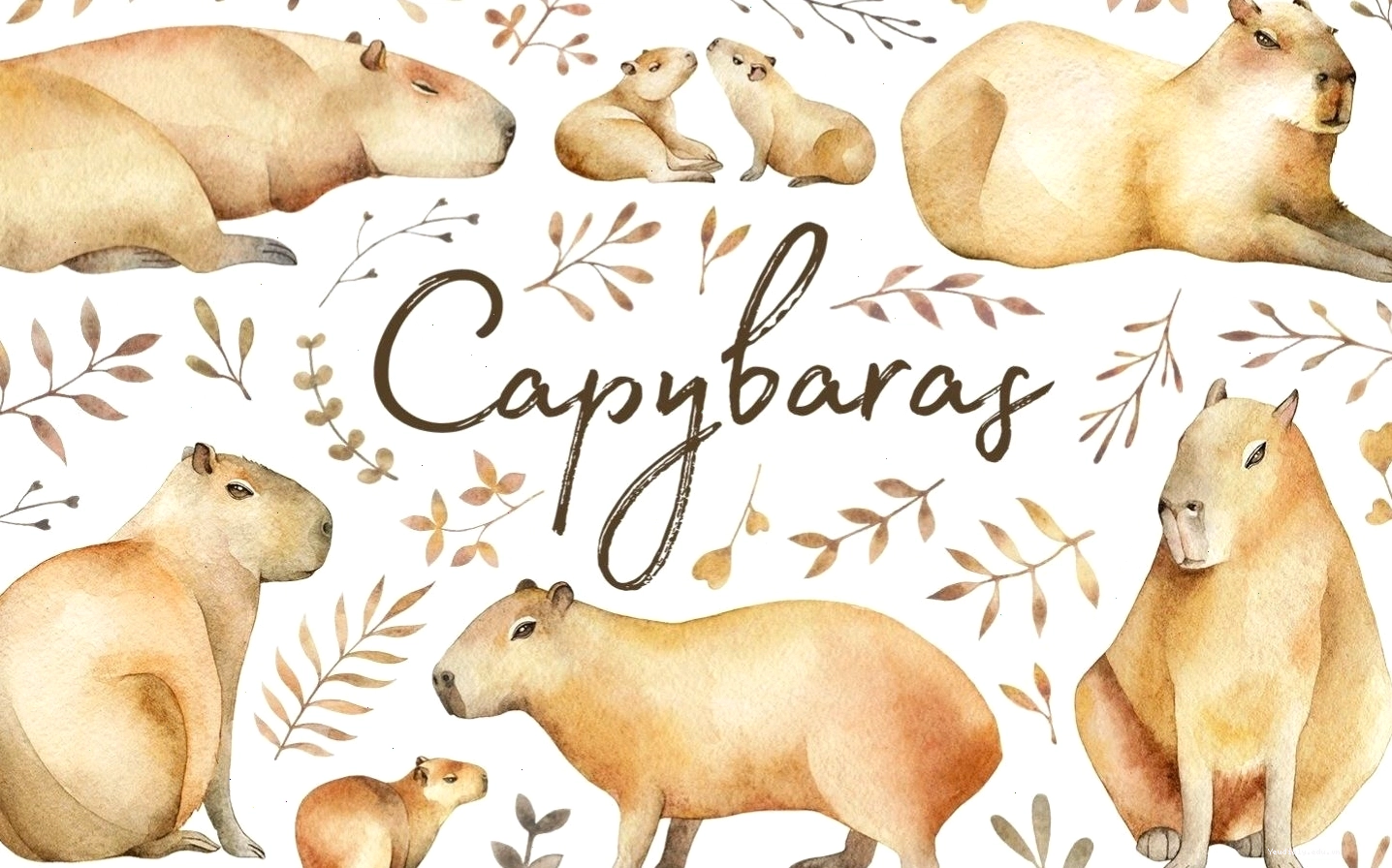Hình capybara chibi đang cười tươi