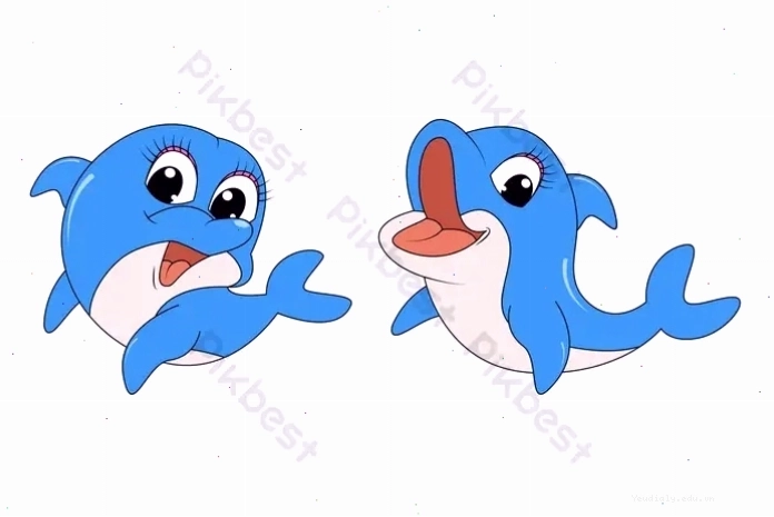 Hình nền cá heo cute dưới đáy biển