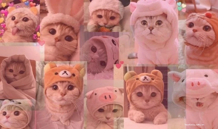 Hình nền máy tính cute với chú mèo phi hành gia đáng yêu